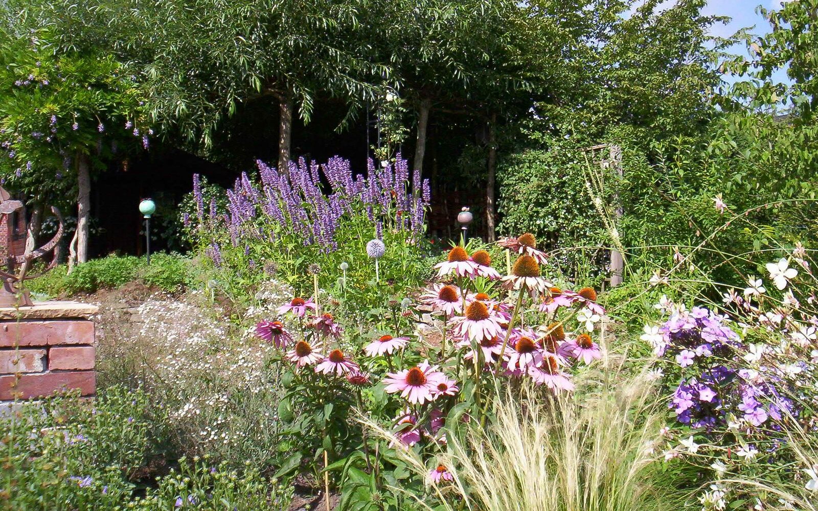 Was sind Stauden? Gartenberatung im Verband Wohneigentum e. V.