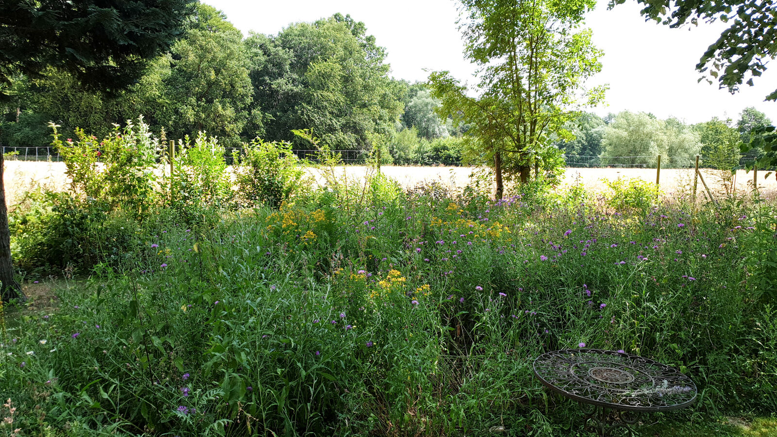 Blumenwiese