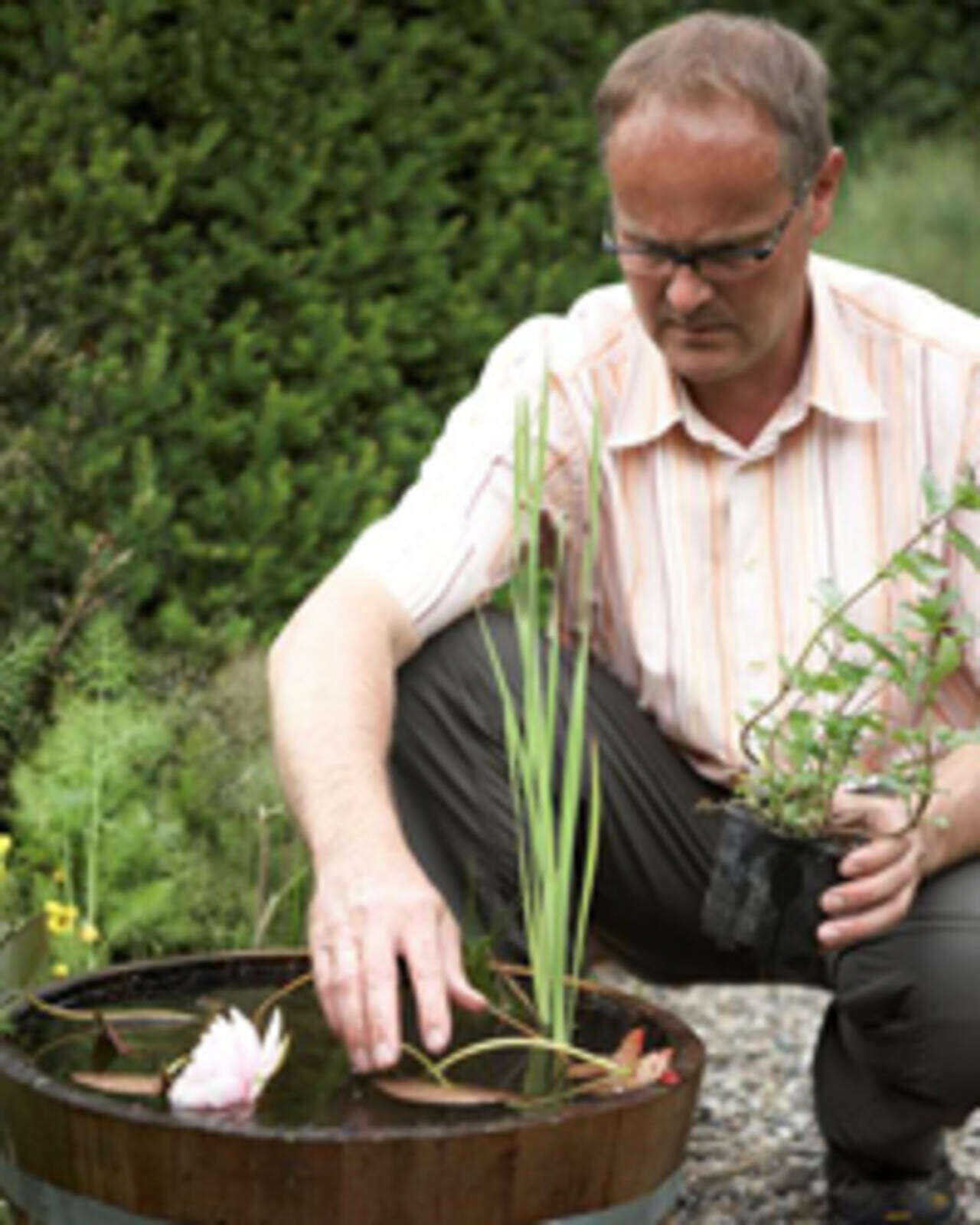 Miniteiche Gartenberatung im Verband Wohneigentum e. V.