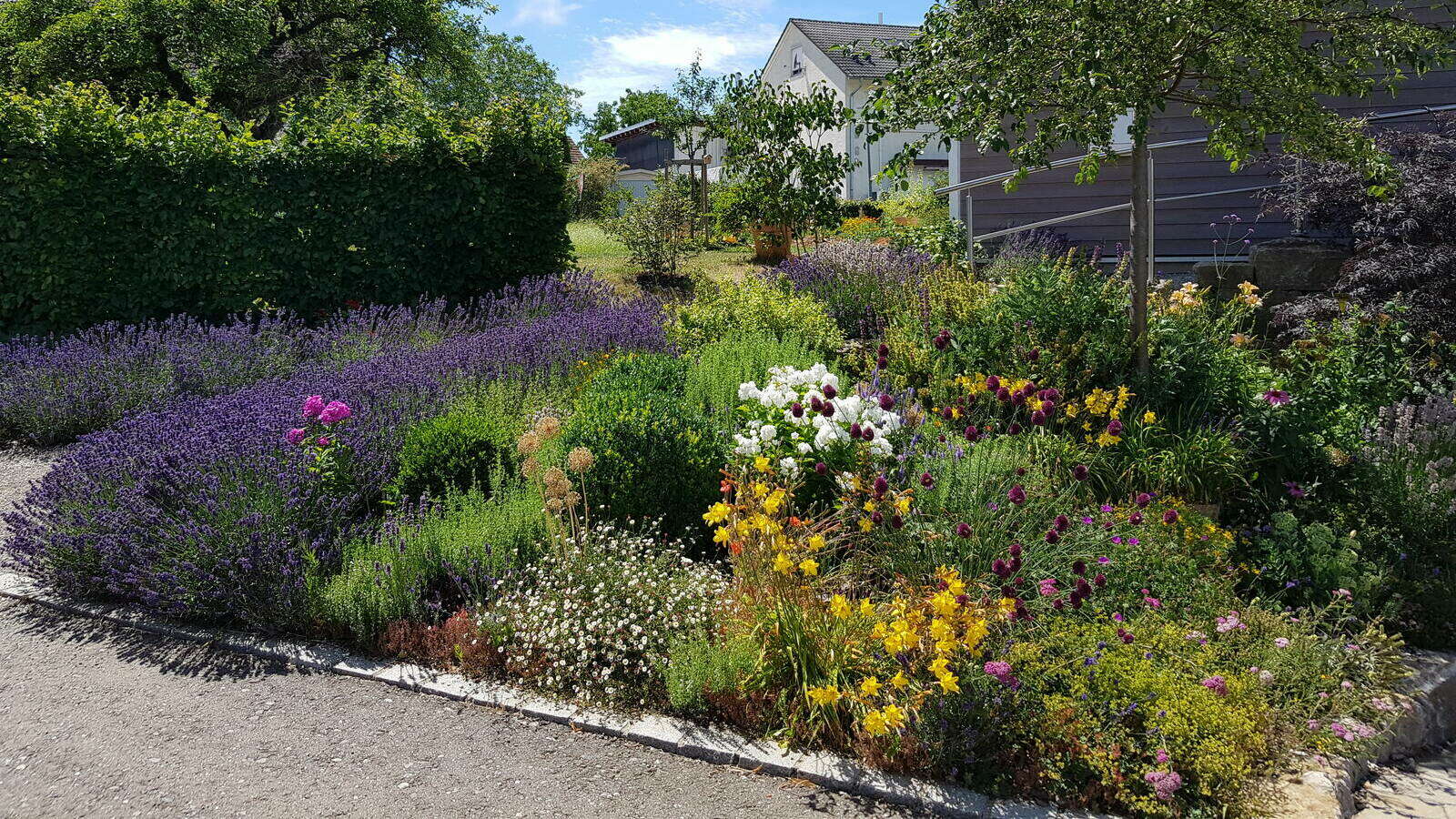 Gartenberatung im Verband Wohneigentum e. V.