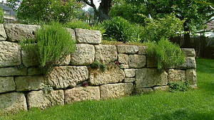 Trockenmauer