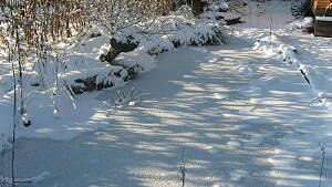 zugefrorener Teich mit Schneedecke
