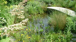 üppig bewachsener Teich mit kleiner Holzbrücke