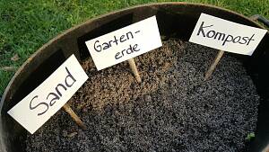 Erdenmischung: Sand, Gartenerde, Kompost