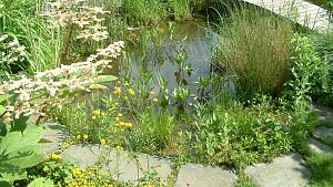 Naturnaher Garten
