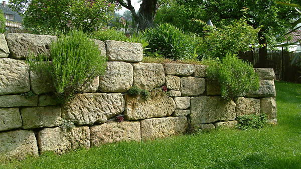 Themenbild: Trockenmauer