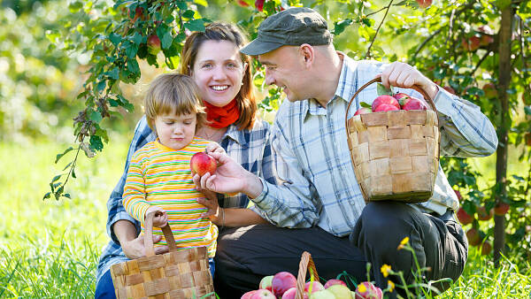 Themenbild: Familienheim und Garten