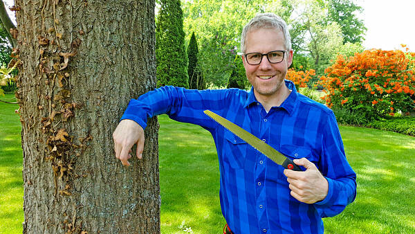 Themenbild: Gartenberater Philippe Dahlmann mit Säge Themenbild: Gartenberater Philippe Dahlmann mit Säge