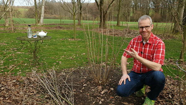 Themenbild: Gartenberater Philippe Dahlmann