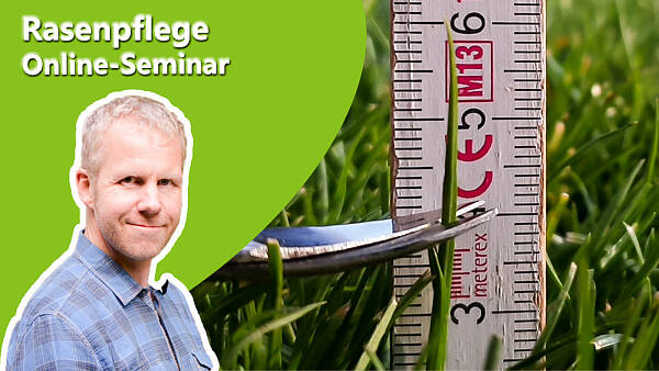 Themenbild: Onlineseminar Rasenpflege Themenbild: Onlineseminar Rasenpflege