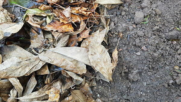 Themenbild: Boden im Winter