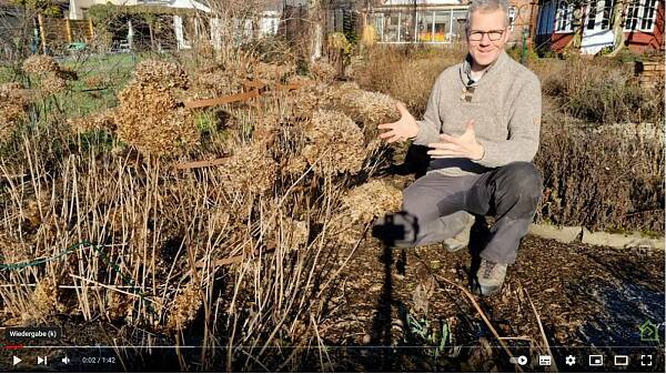 Themenbild: Philippe Dahlmann schneidet Ballhortensie