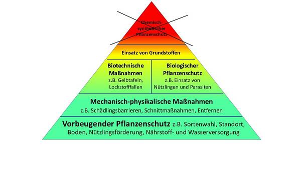 Themenbild: Pflanzenschutzpyramide