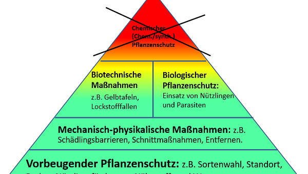 Themenbild: Pflanzenschutzpyramide