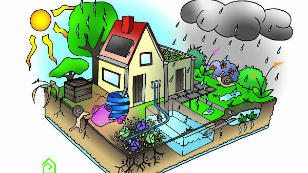 Themenbild: Grafik Umgang mit Wasser im Garten