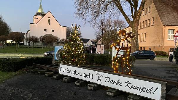 Themenbild: Weihnachtsbaum Themenbild: Weihnachtsbaum