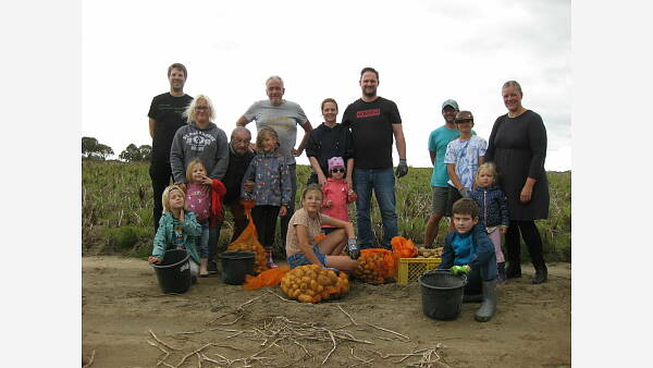 Themenbild: Kartoffelernte