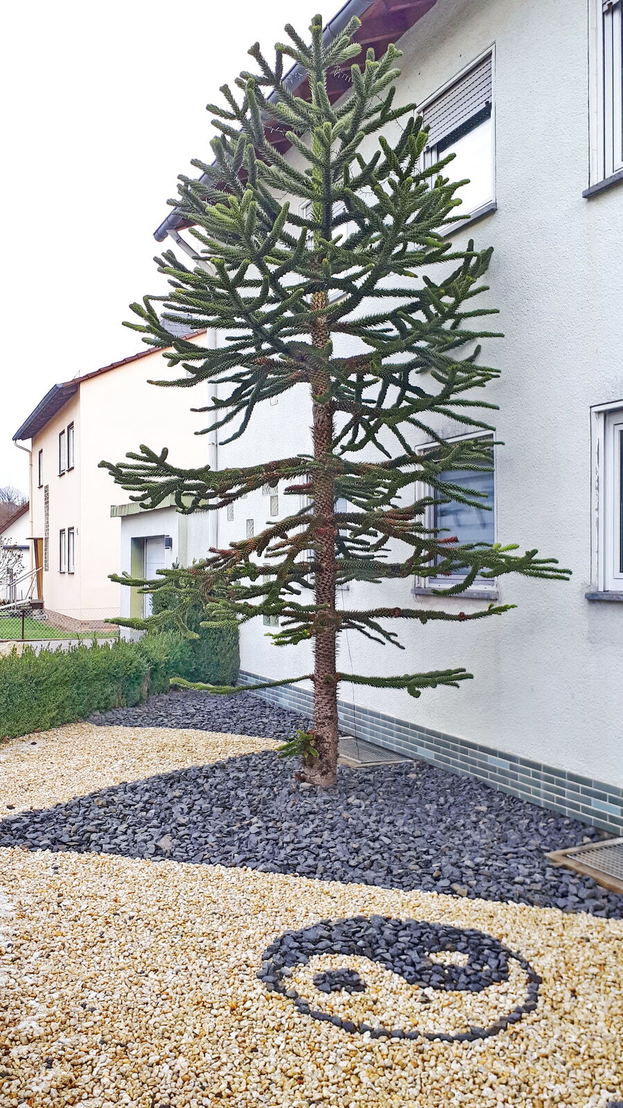 Kiesschüttung in einem Vorgarten