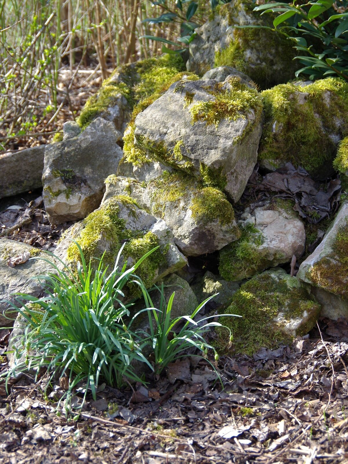 Steinhaufen als Versteckmöglichkeit