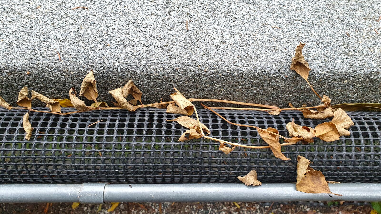Gitter verhindern Laubeintrag in das Fallrohr