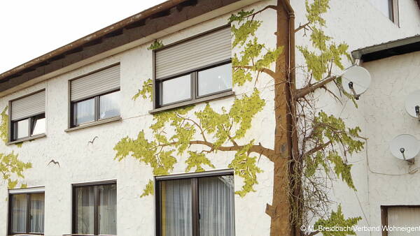 Themenbild: Mietshaus Themenbild: Mietshaus
