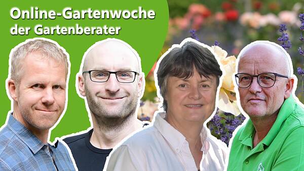 Themenbild: Die Gartenprofis im VWE Themenbild: Die Gartenprofis im VWE