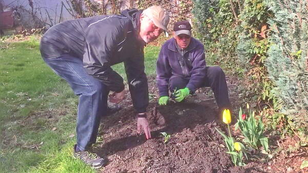 Themenbild: Gartenwettbewerb 2021 in Viernheim