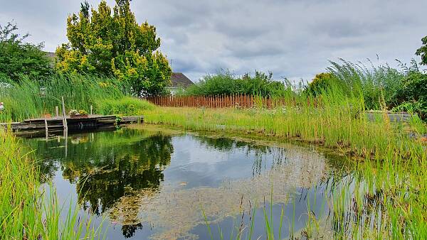 Themenbild: Gartenteich zum Auffangen von Regenwasser