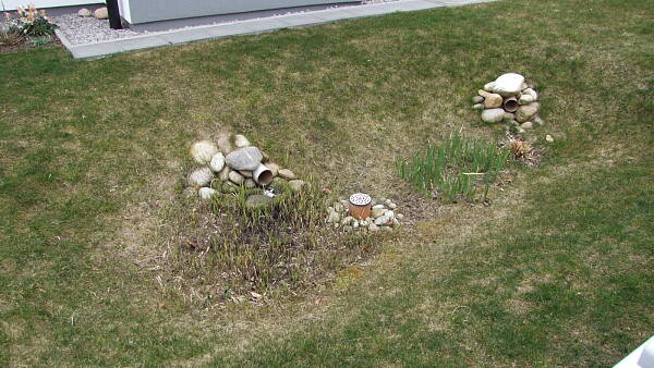 Themenbild: Versickerung von Regenwasser in einer Grasmulde.