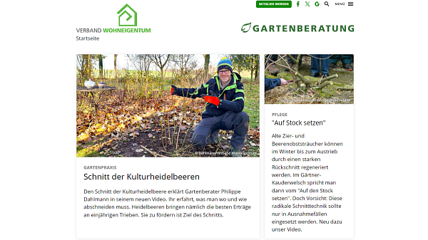 Themenbild: Website der Gartenberatung