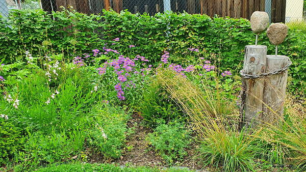 Themenbild: Gartenbeet