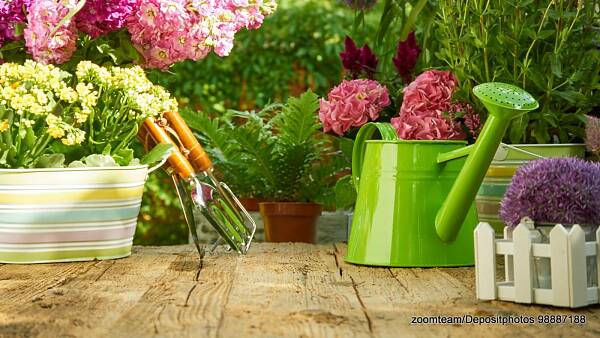 Themenbild: Blumen, Gieskanne und Werkzeug