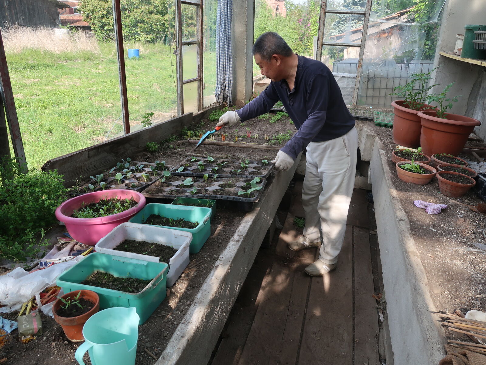 Gärtnern im Klostergarten 7