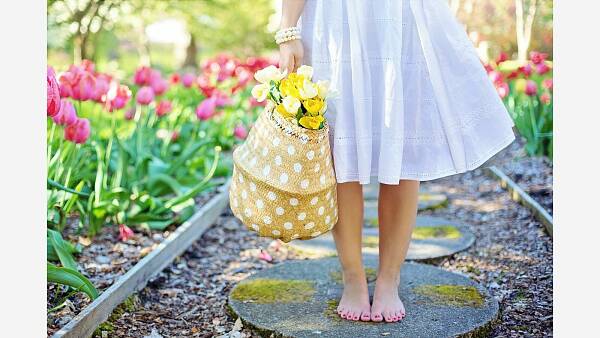 Themenbild: Rund um den Garten Themenbild: Rund um den Garten