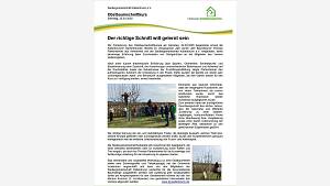 Bericht Obstbaumschnittkurs 2025