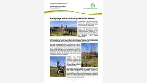 Obstbaumschnittkurs 2026-Bericht.jpg