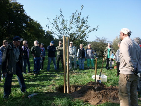 Apfelarbeitsfest auf der Obstbaumwiese