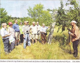 Obstbaumschnitt-Seminar 3. Juli2010