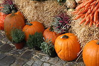 Wein- und Bauernmarkt in Lachendorf