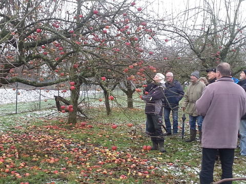 Obstbaumschnittkurs 2019