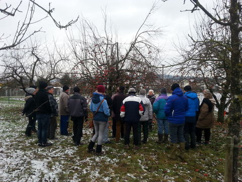 Obstbaumschnittkurs 2019