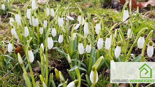 Themenbild: Mitglied werden! Themenbild: Mitglied werden!