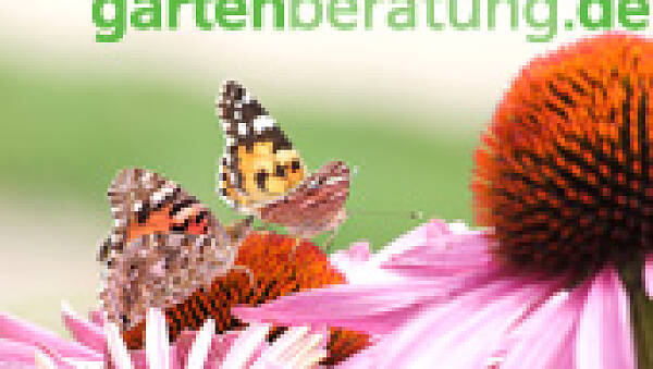 Themenbild: Gartenberatung Themenbild: Gartenberatung