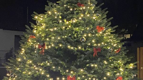 Themenbild: Geschmückter Weihnachtsbaum
