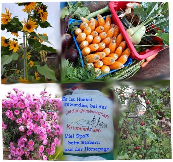 Herbstinfo