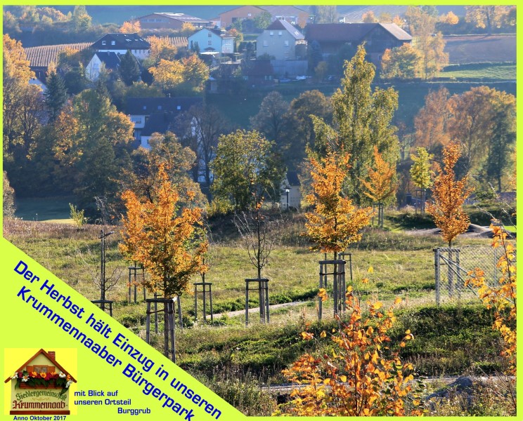 Bürgerpark im Herbst