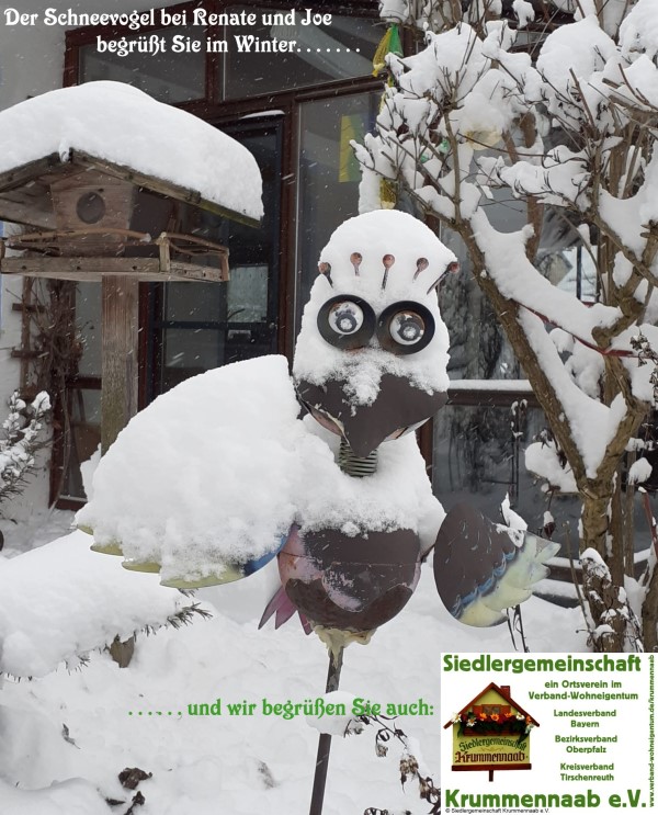 Schneevogel im Winter