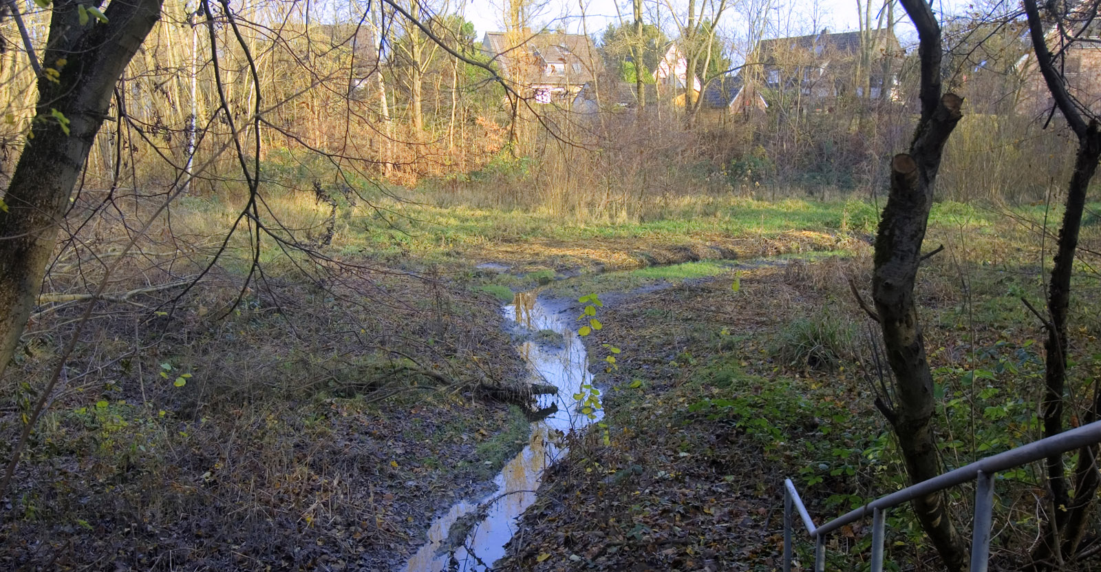 Aus dem Regenrückhaltebecken fliesst Wasser in den Dorneburger Mühlenbach.