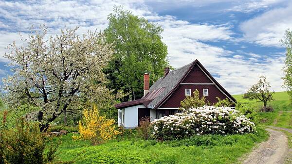 Themenbild: Haus mit Garten