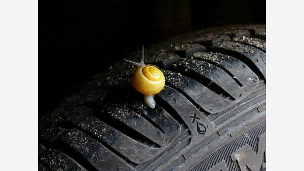 Themenbild: Autoreifen